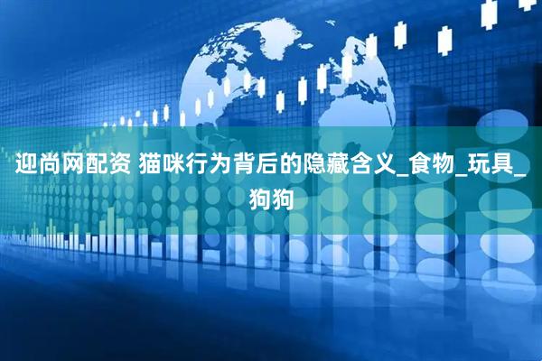 迎尚网配资 猫咪行为背后的隐藏含义_食物_玩具_狗狗