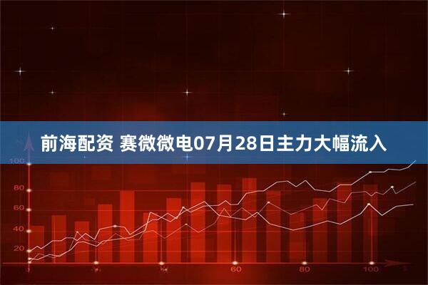 前海配资 赛微微电07月28日主力大幅流入