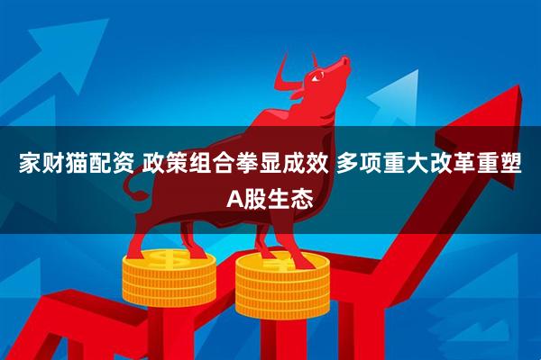 家财猫配资 政策组合拳显成效 多项重大改革重塑A股生态