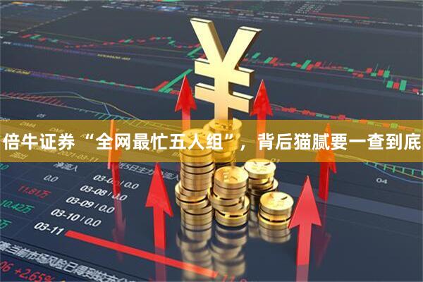 倍牛证券 “全网最忙五人组”，背后猫腻要一查到底