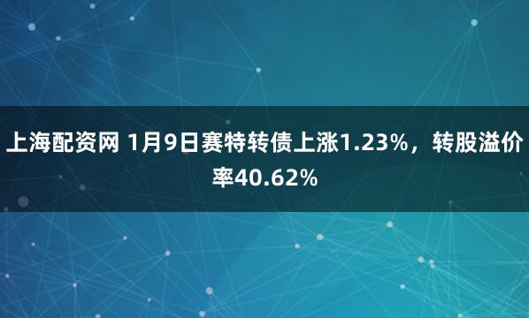上海配资网 1月9日赛特转债上涨1.23%，转股溢价率40.62%